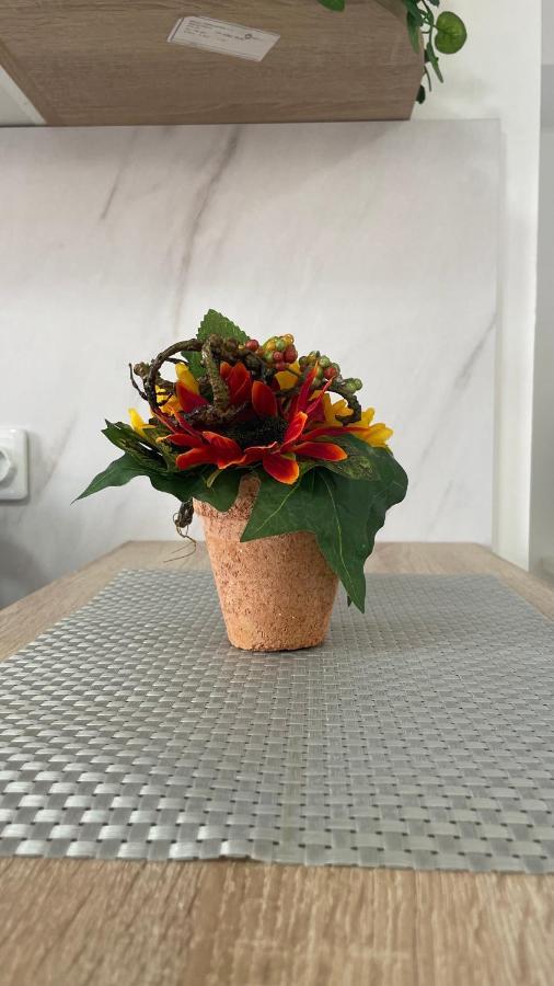 Apartman Mim Trebin Dış mekan fotoğraf