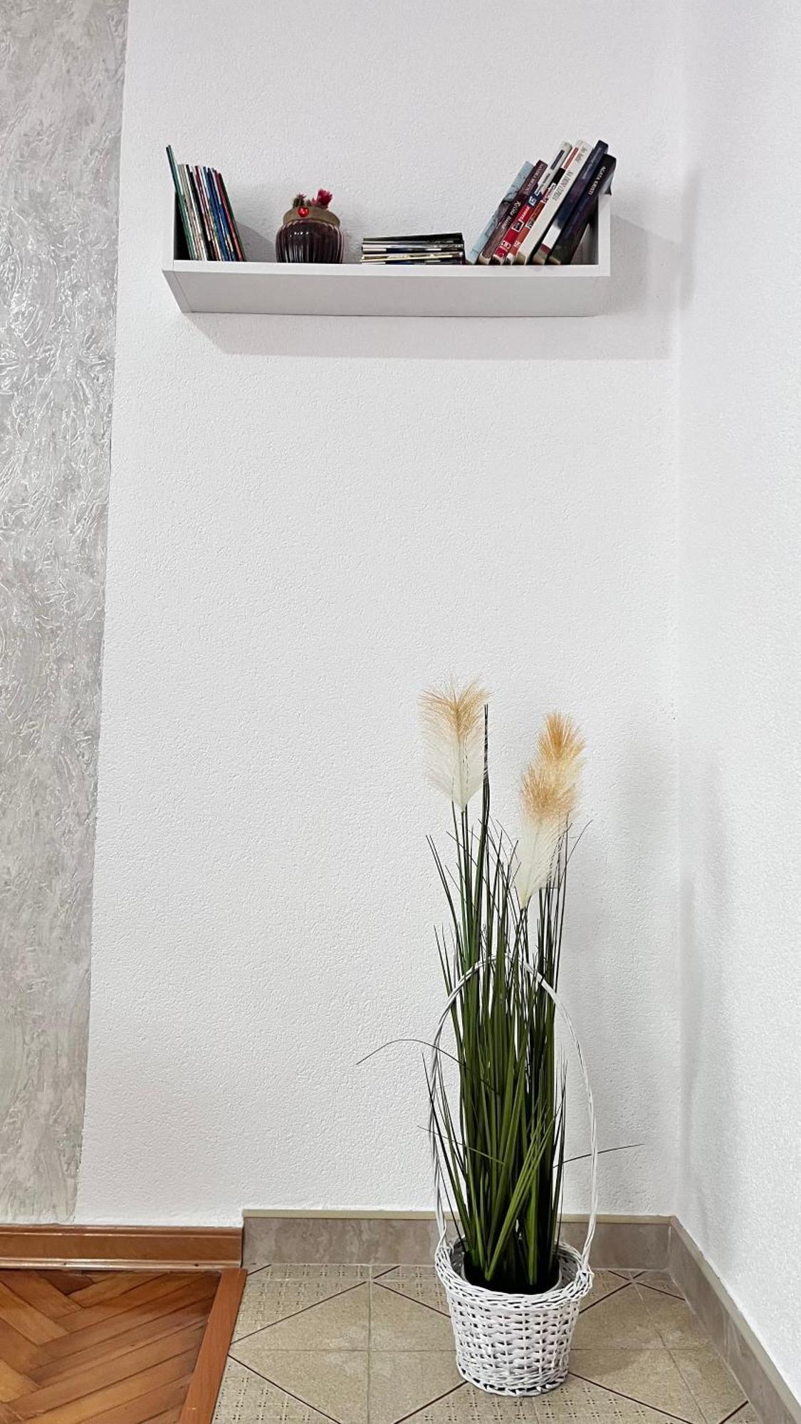 Apartman Mim Trebin Dış mekan fotoğraf